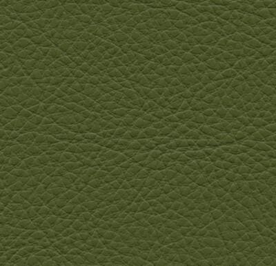 Symphony Classic Sage